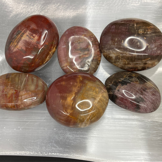 Opalized Wood Palm Stone