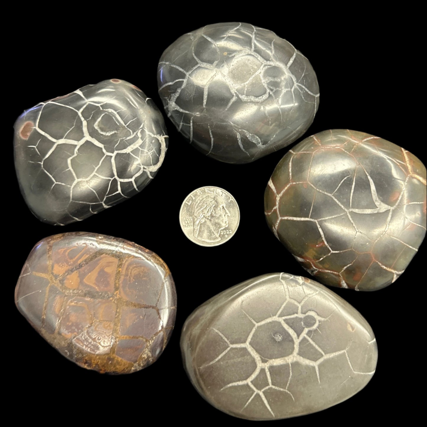 Moroccan Black Septarian Palm Stone