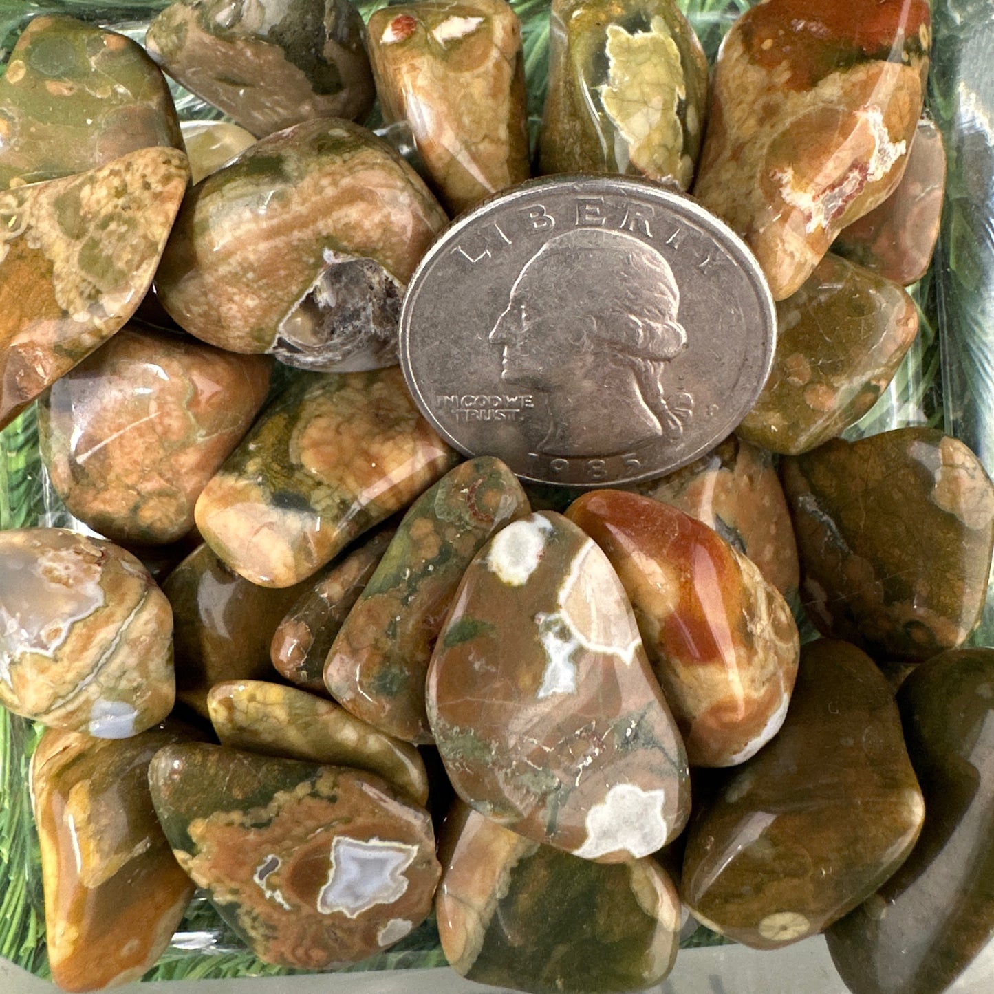 Rainforest Jasper