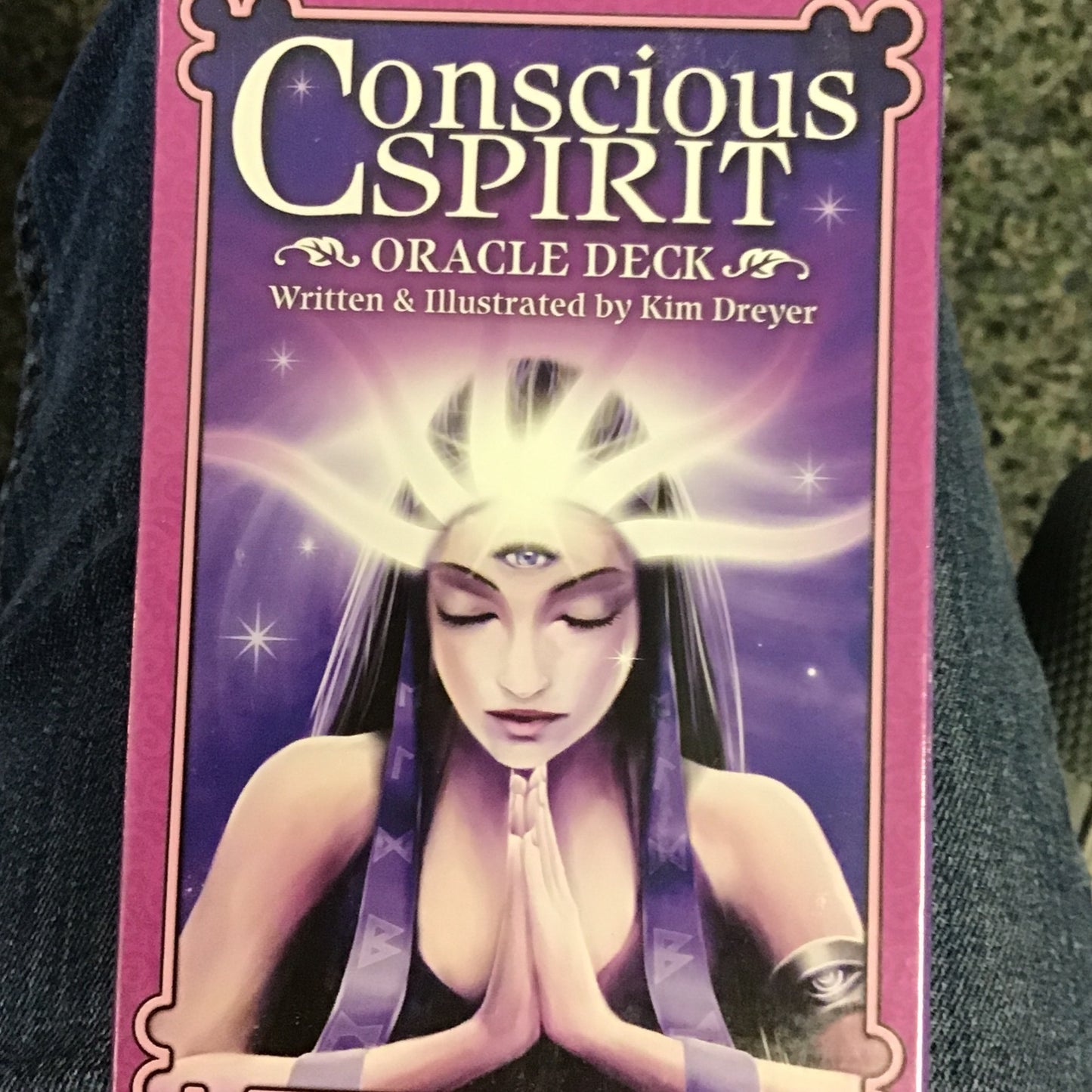 Conscious Spirit