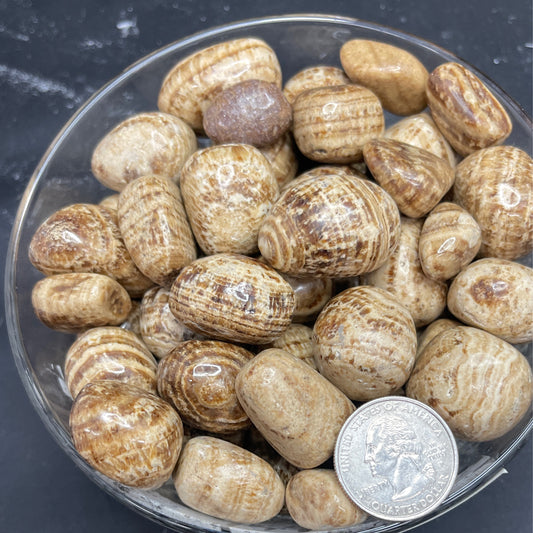 Aragonite Tumbled