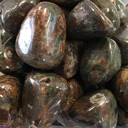 Green Leopard Jasper