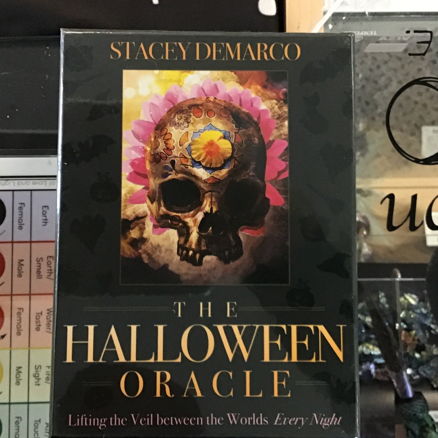 The Halloween Oracle : Lifting The Veil Between The Worlds Every Night (Book)