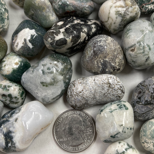 Tree Agate Tumbled Large