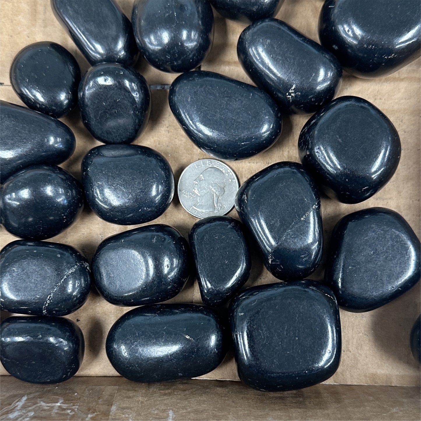 Shungite Tumbled Large