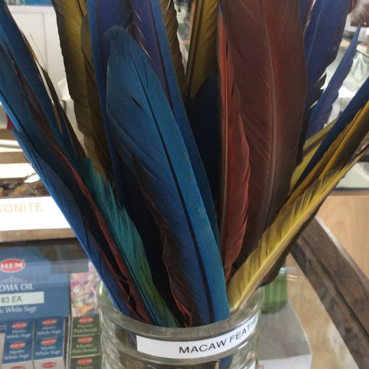 Macaw Feathers