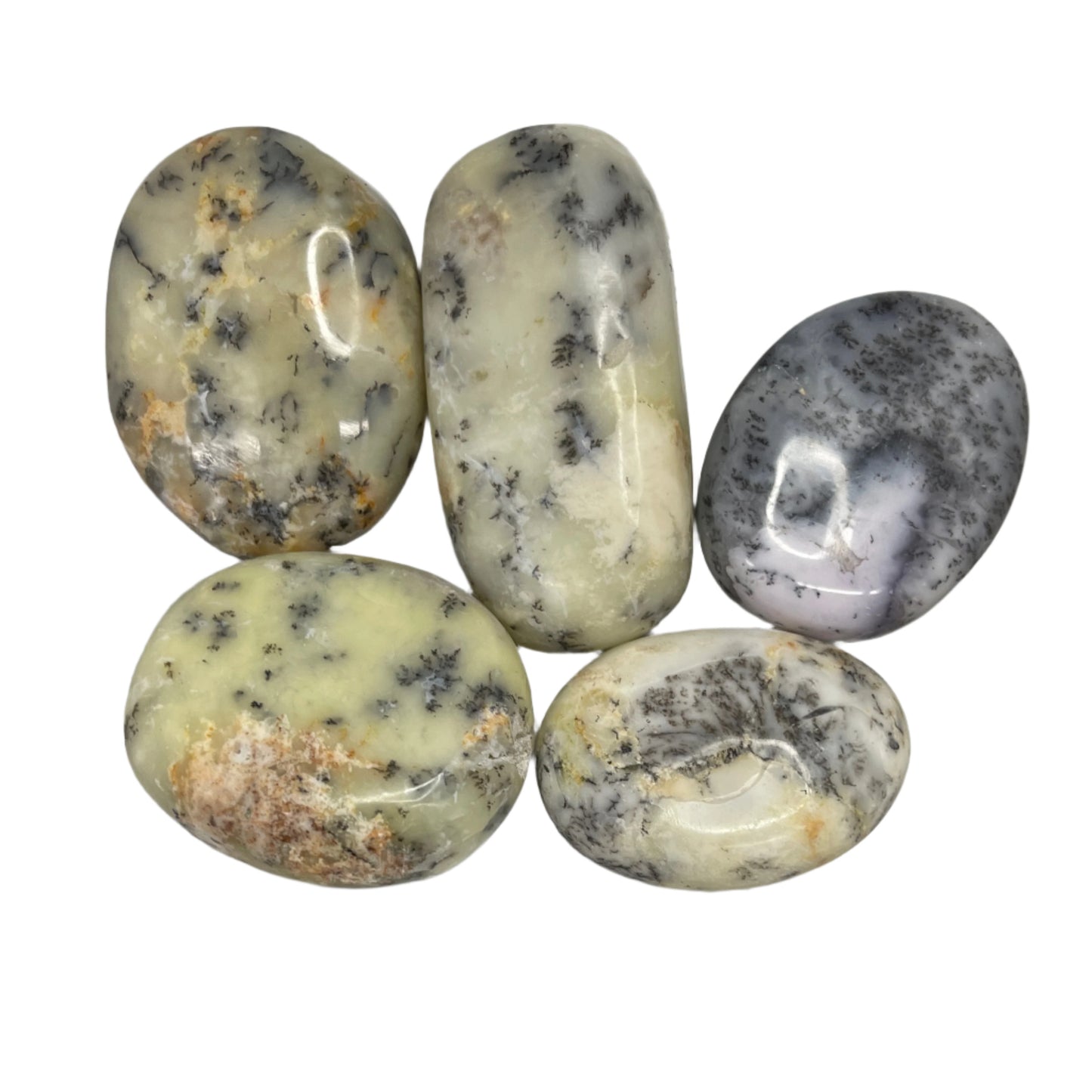 Dendritic Opal Palm Stone