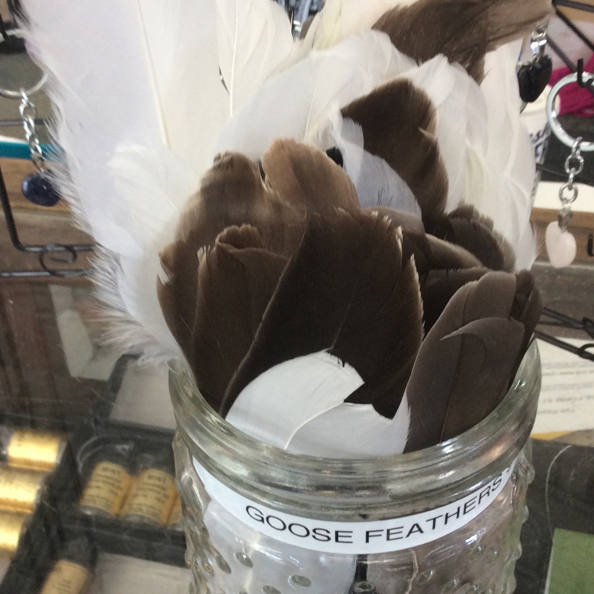 Goose Feathers