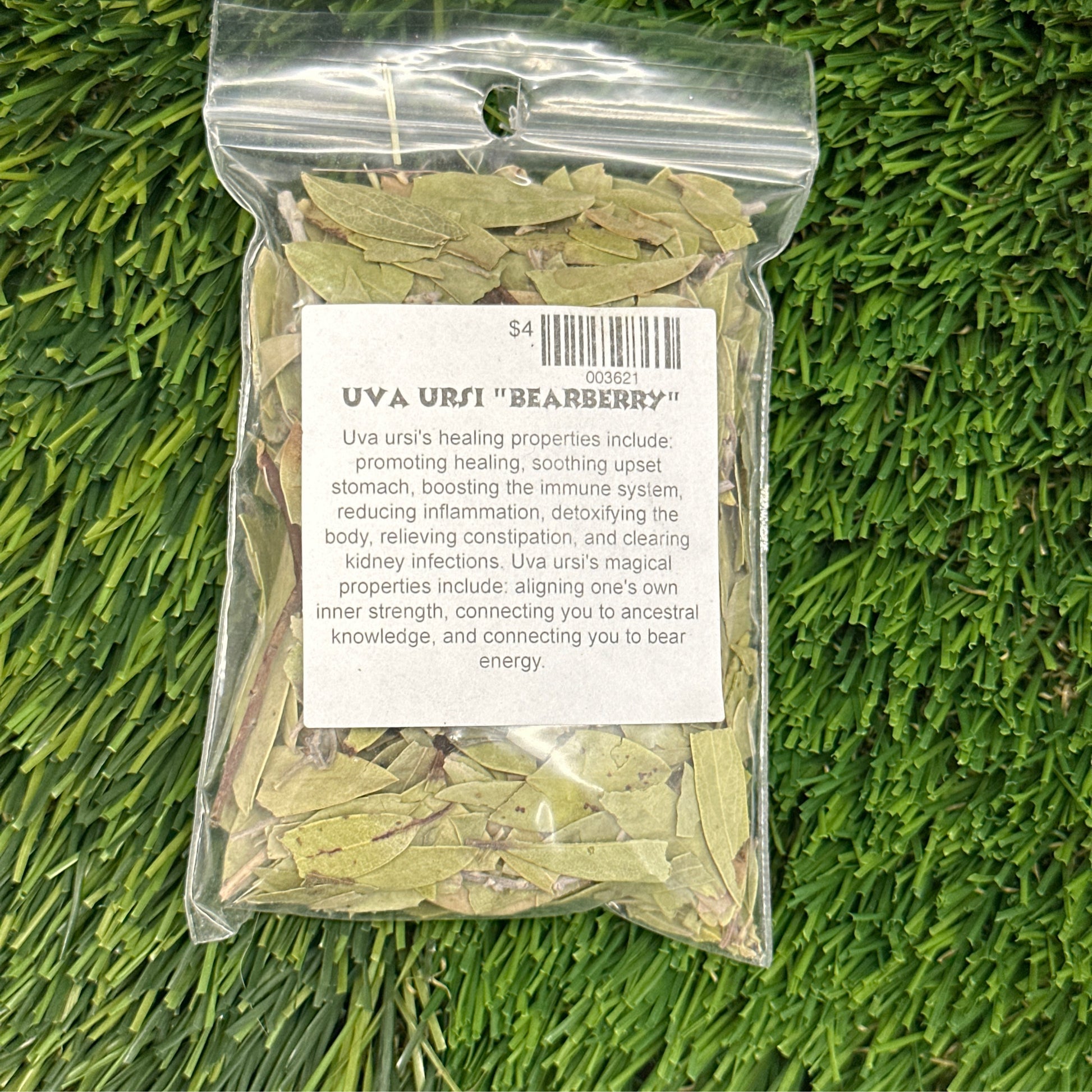 Uva Ursi 1/2 oz