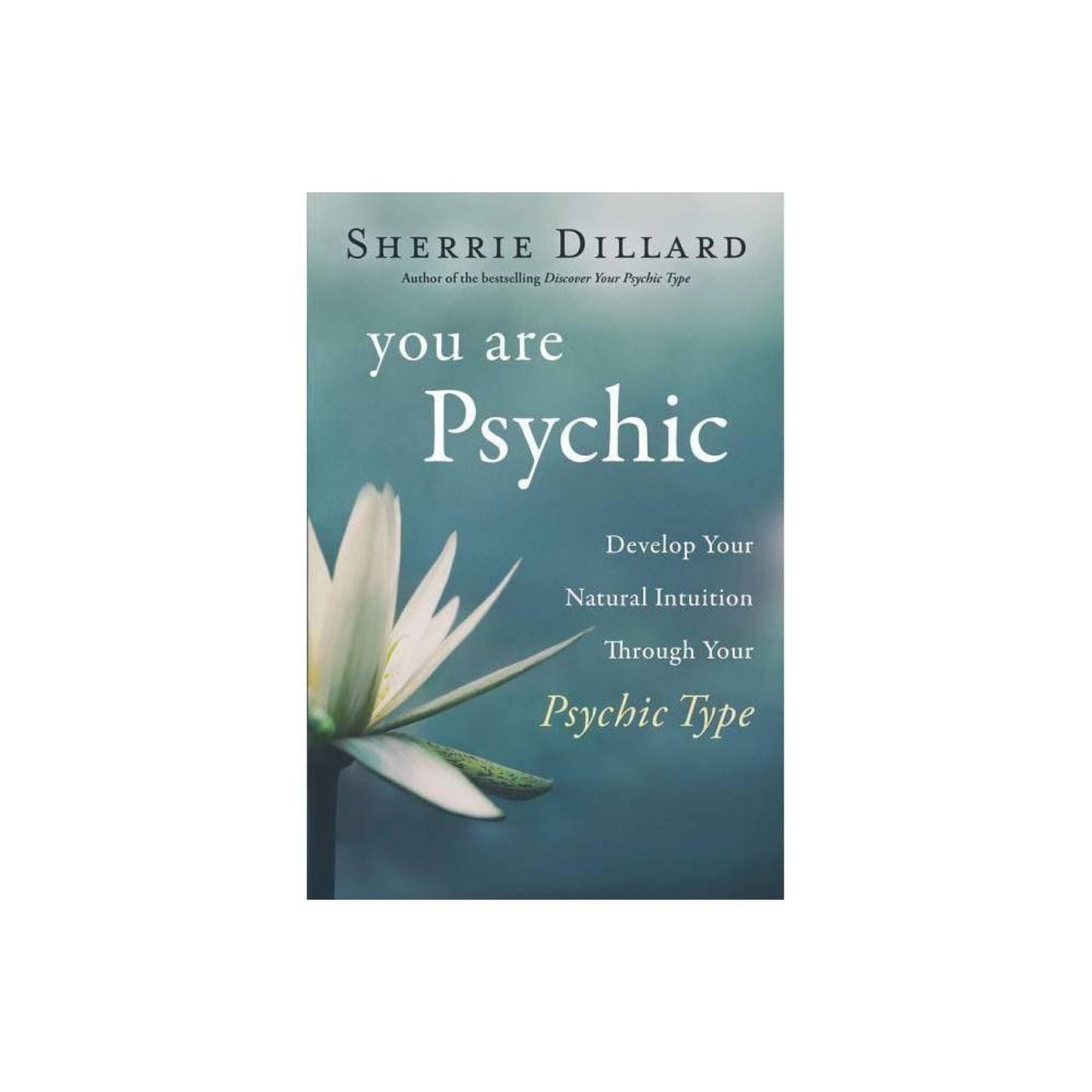 You are Psychic : Develop Your Natural Intuition Through Your Psychic Type