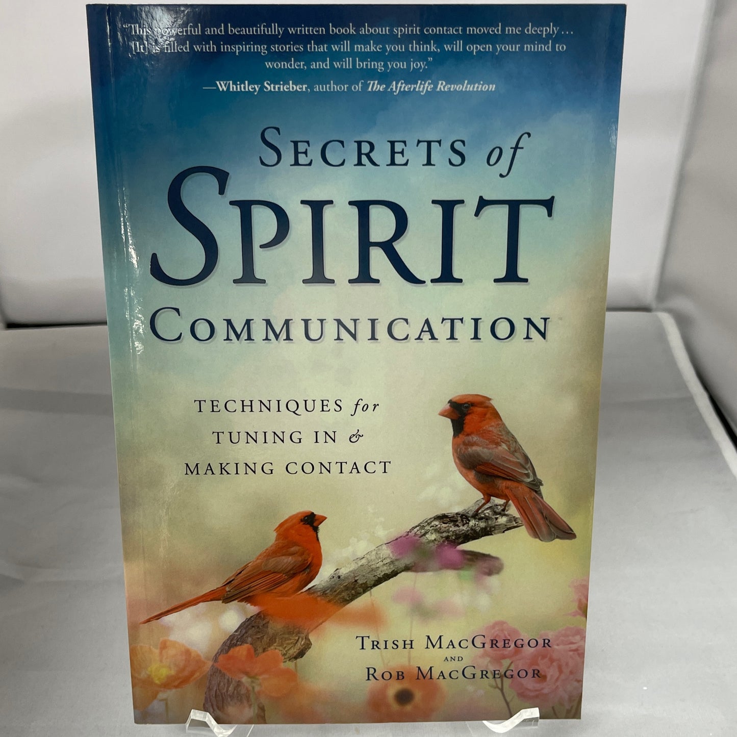 Secrets of Spirit Communication