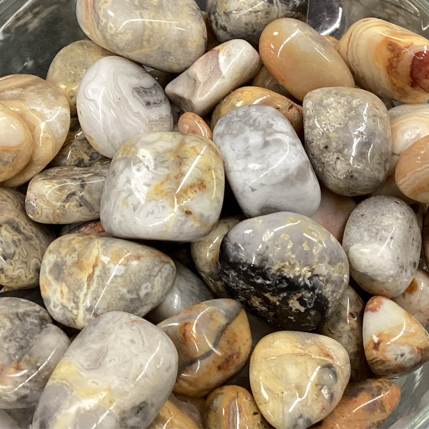 Crazy lace agate tumbled large