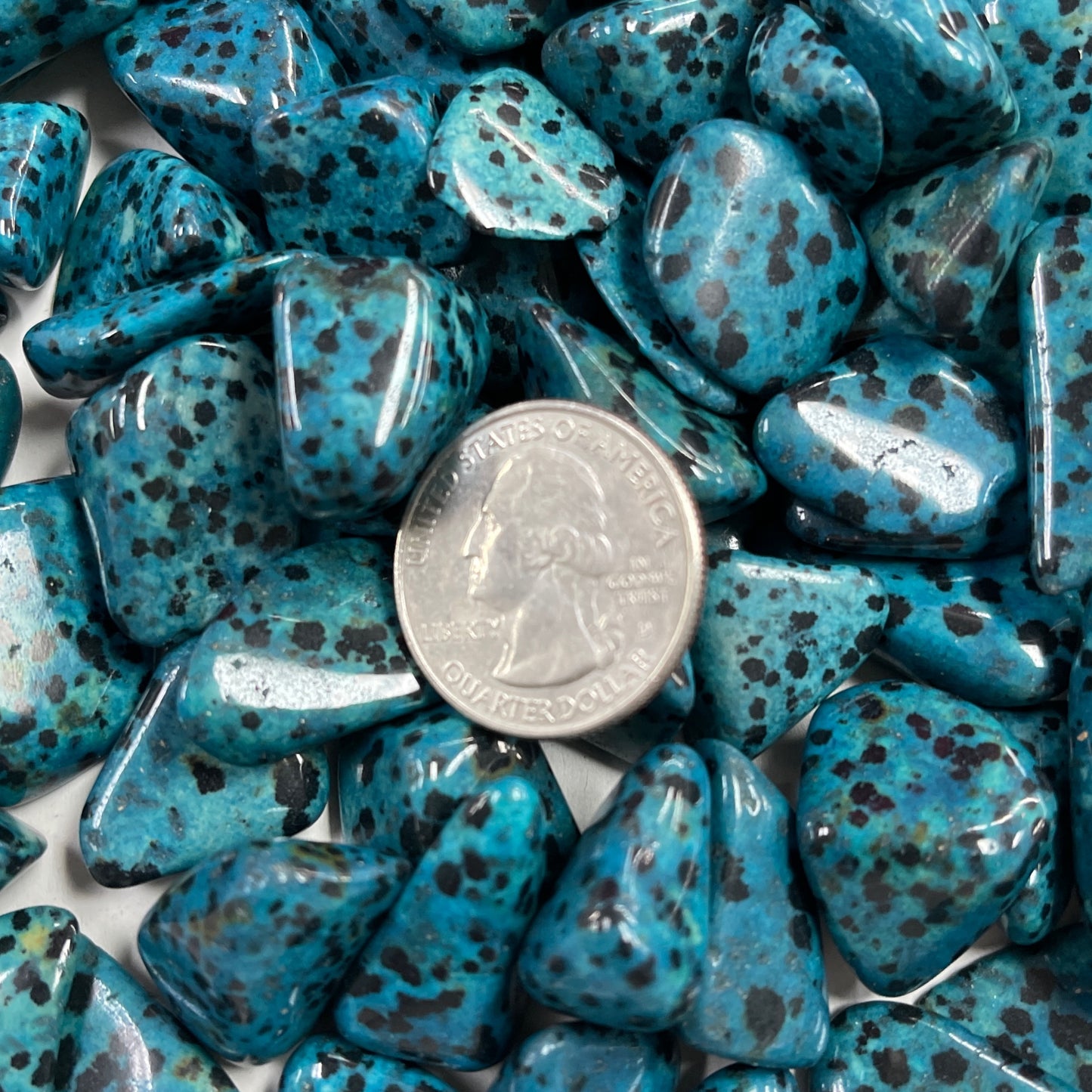 Blue Dalmatian Jasper