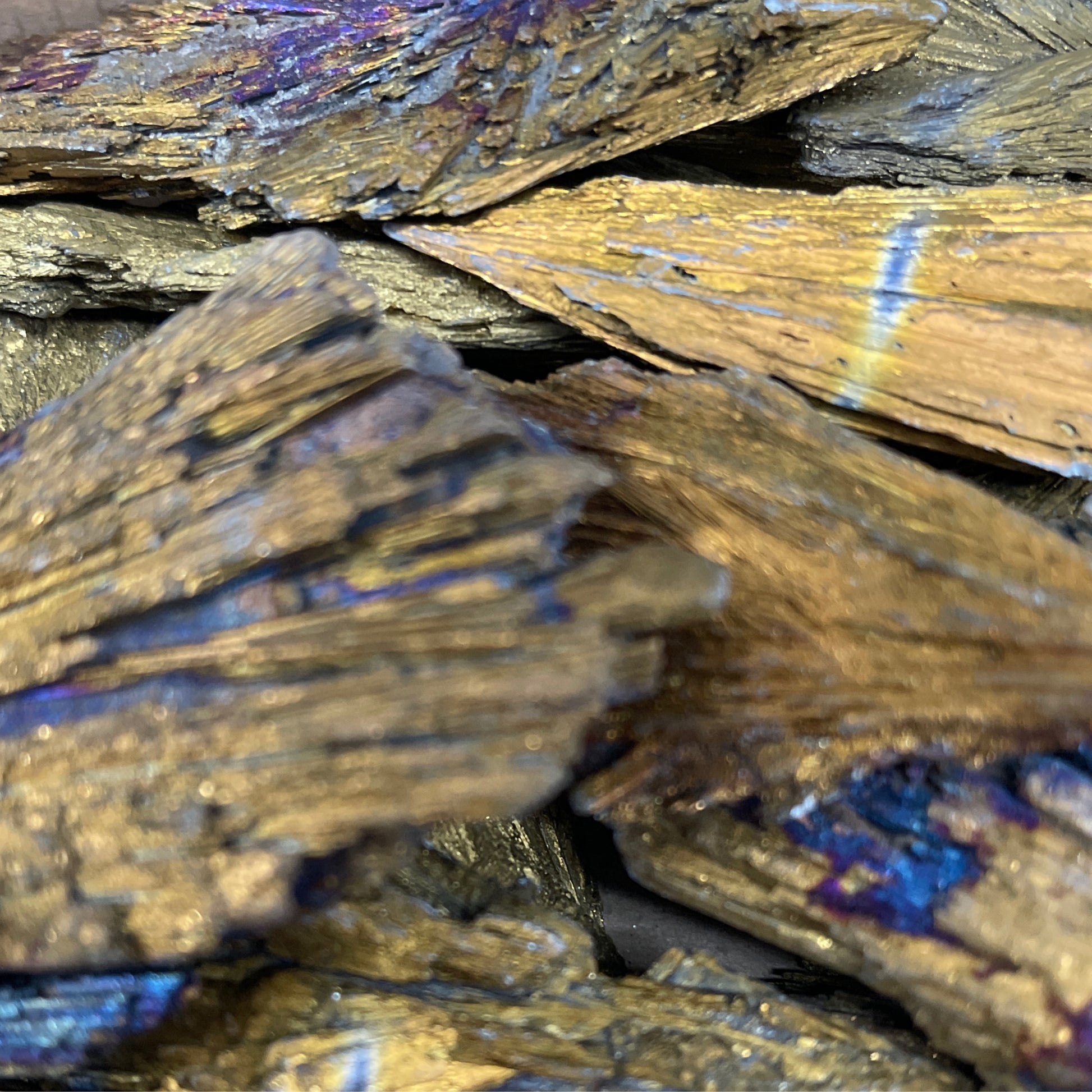 Gold Kyanite Blades