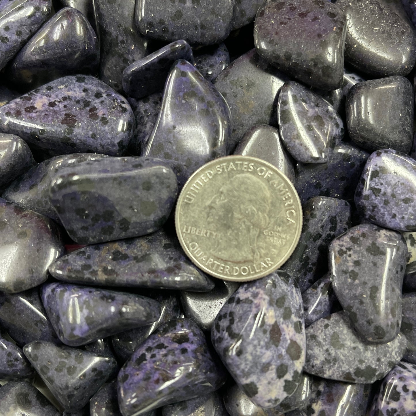 Purple Dalmatian Jasper