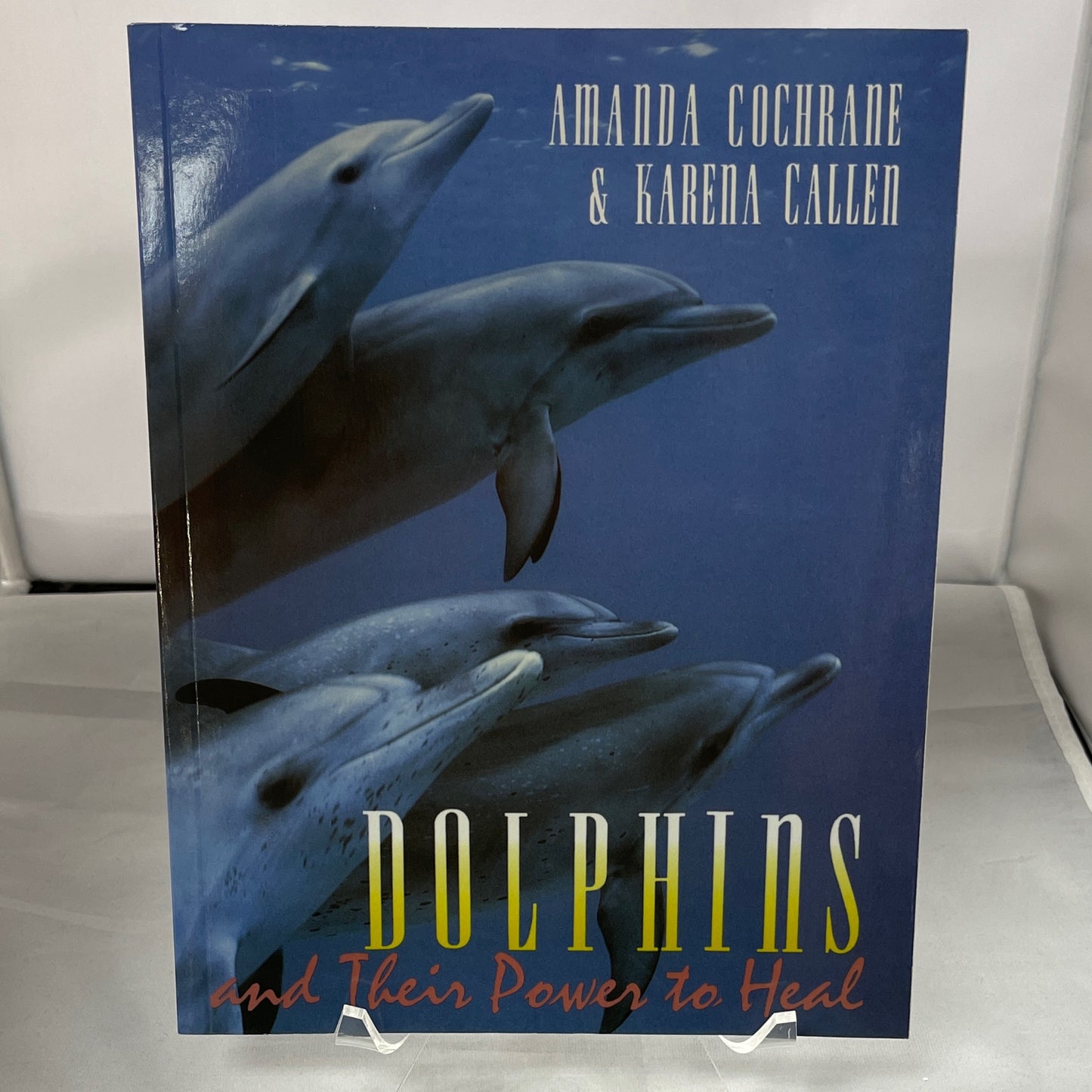 Dolphins and Their Power to Heal