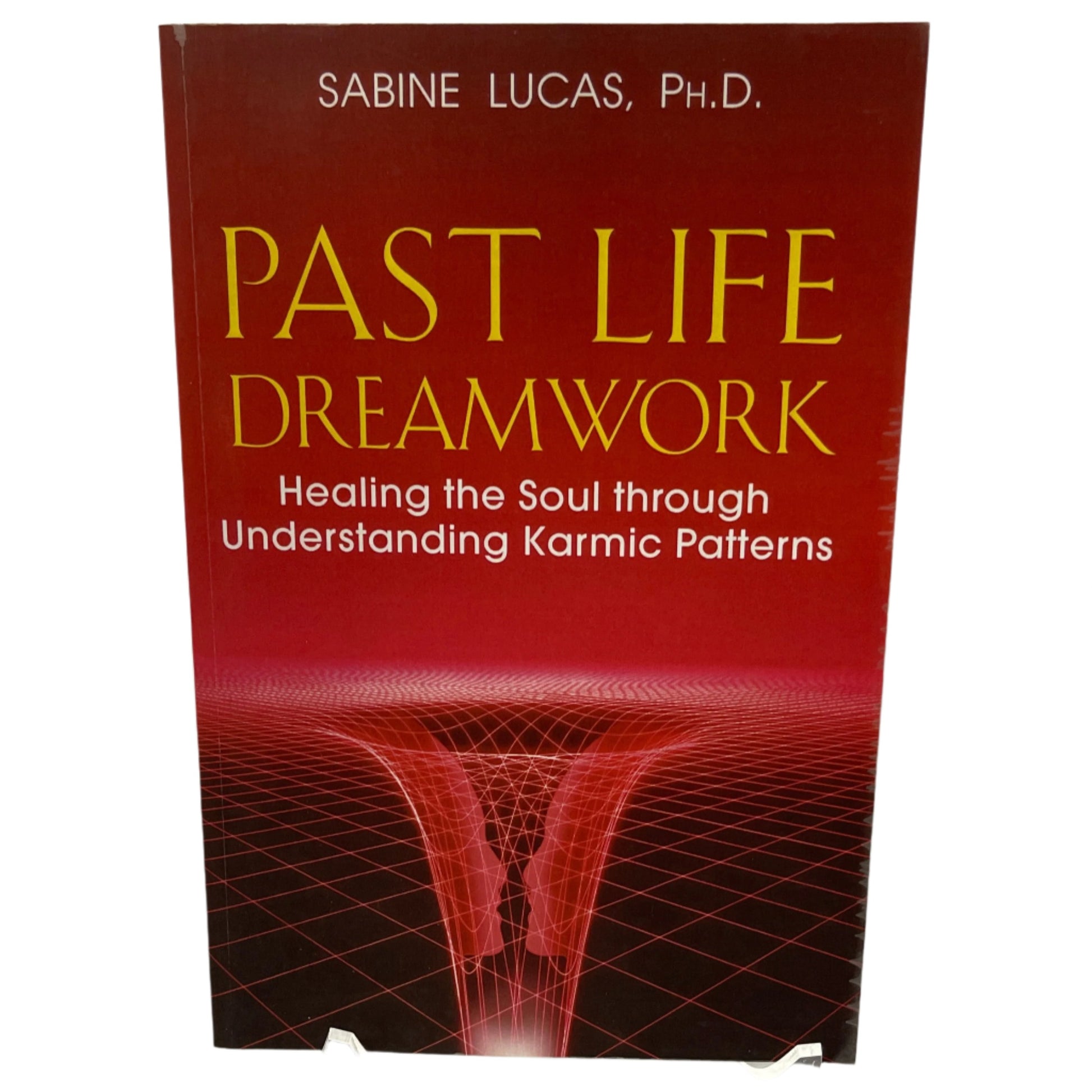 Past Life Dreamwork: healing the soul through understanding karmic patterns