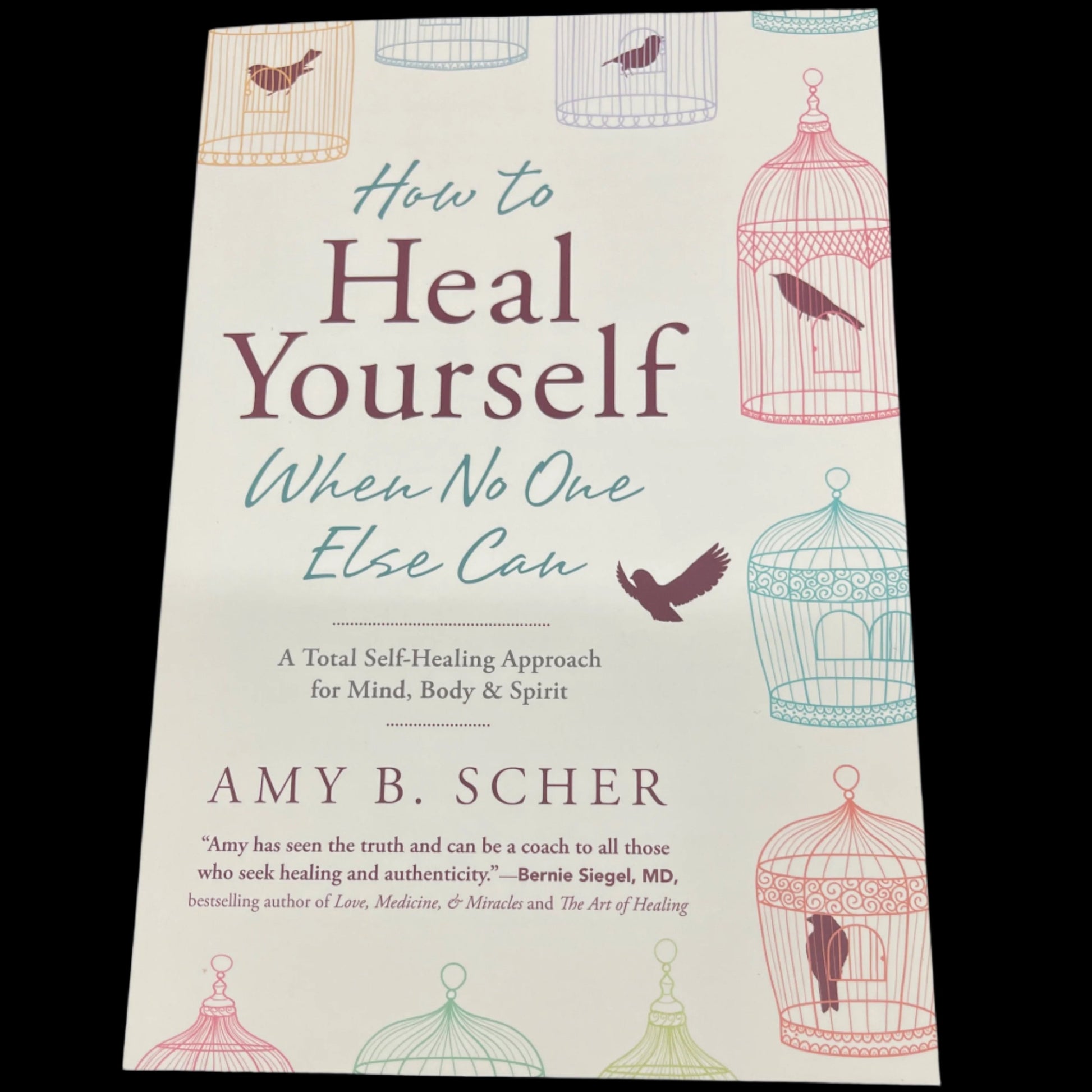 How to Heal Yourself When No One Else Can: A Total Self-Healing Approach for Mind, Body, and Spirit by Amy B. Scher