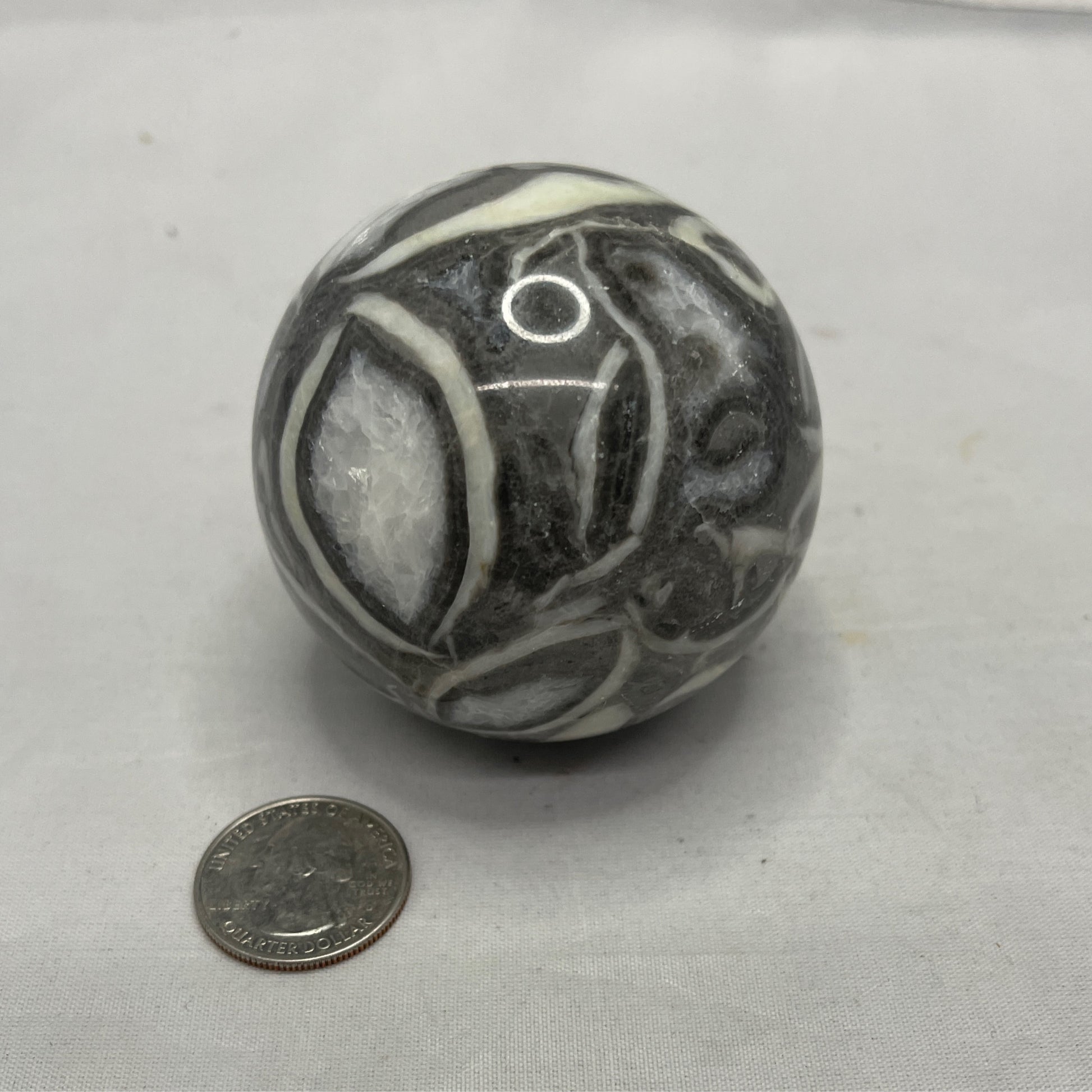 Shell Jasper Sphere