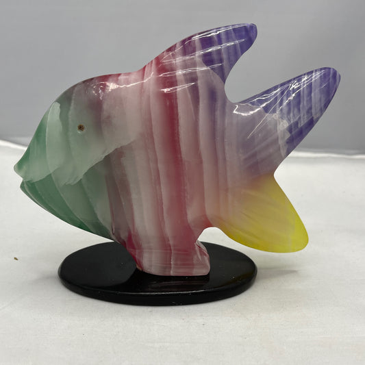 Rainbow Onyx Fish