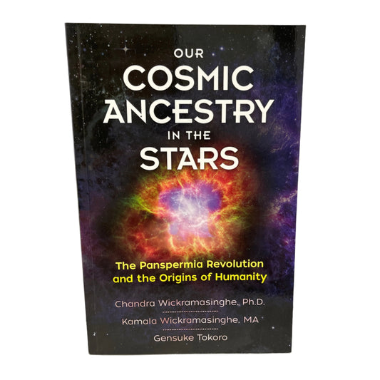 Our Cosmic Ancestry in the Stars