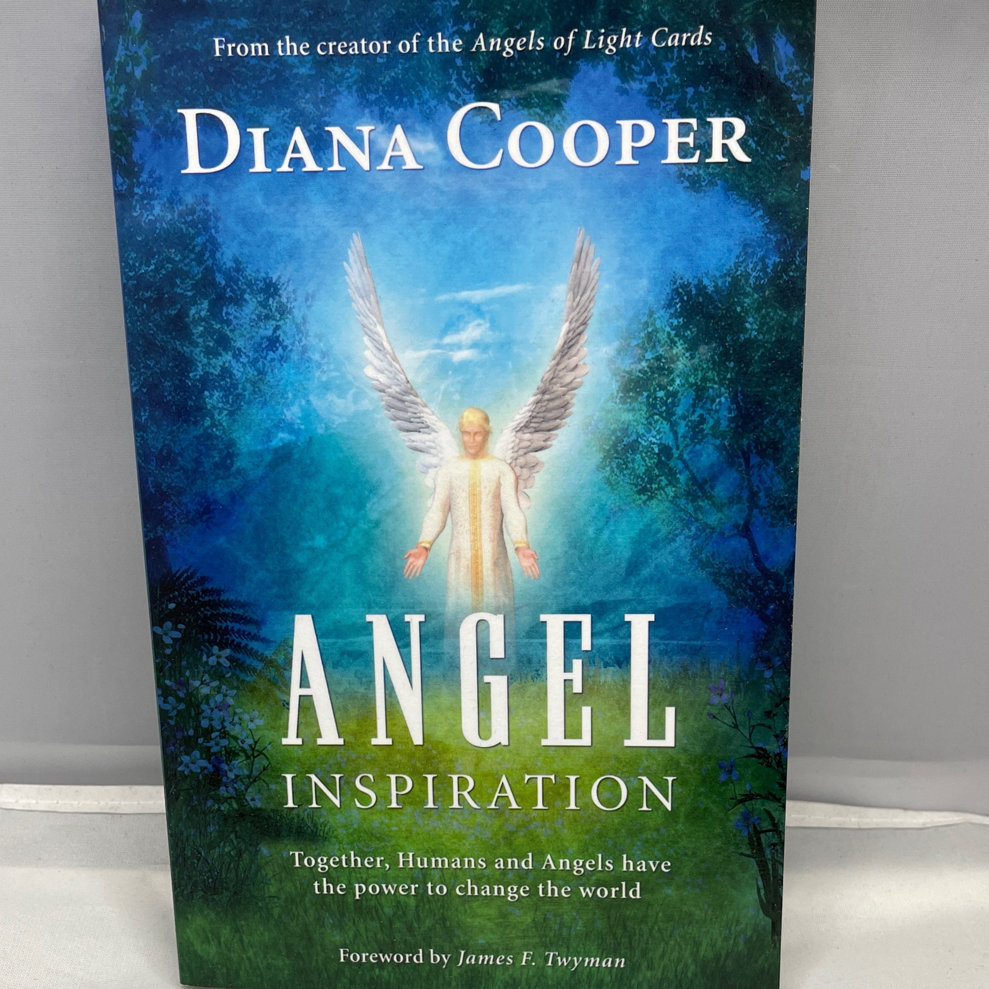 Angel Inspiration