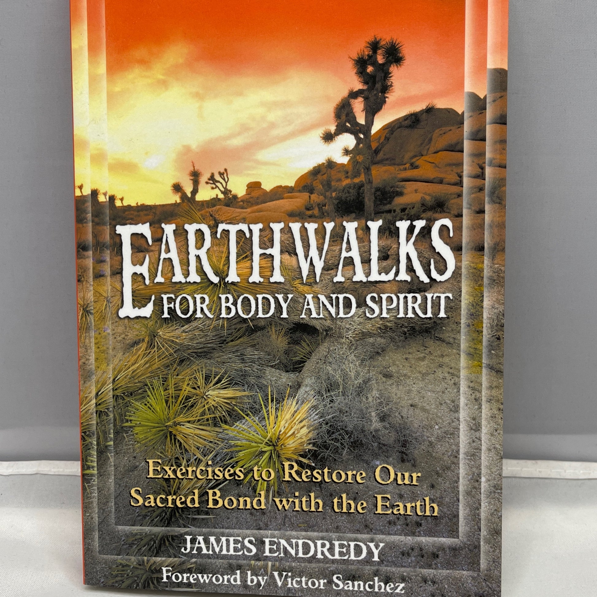 Earthwalks for Body and Spirit