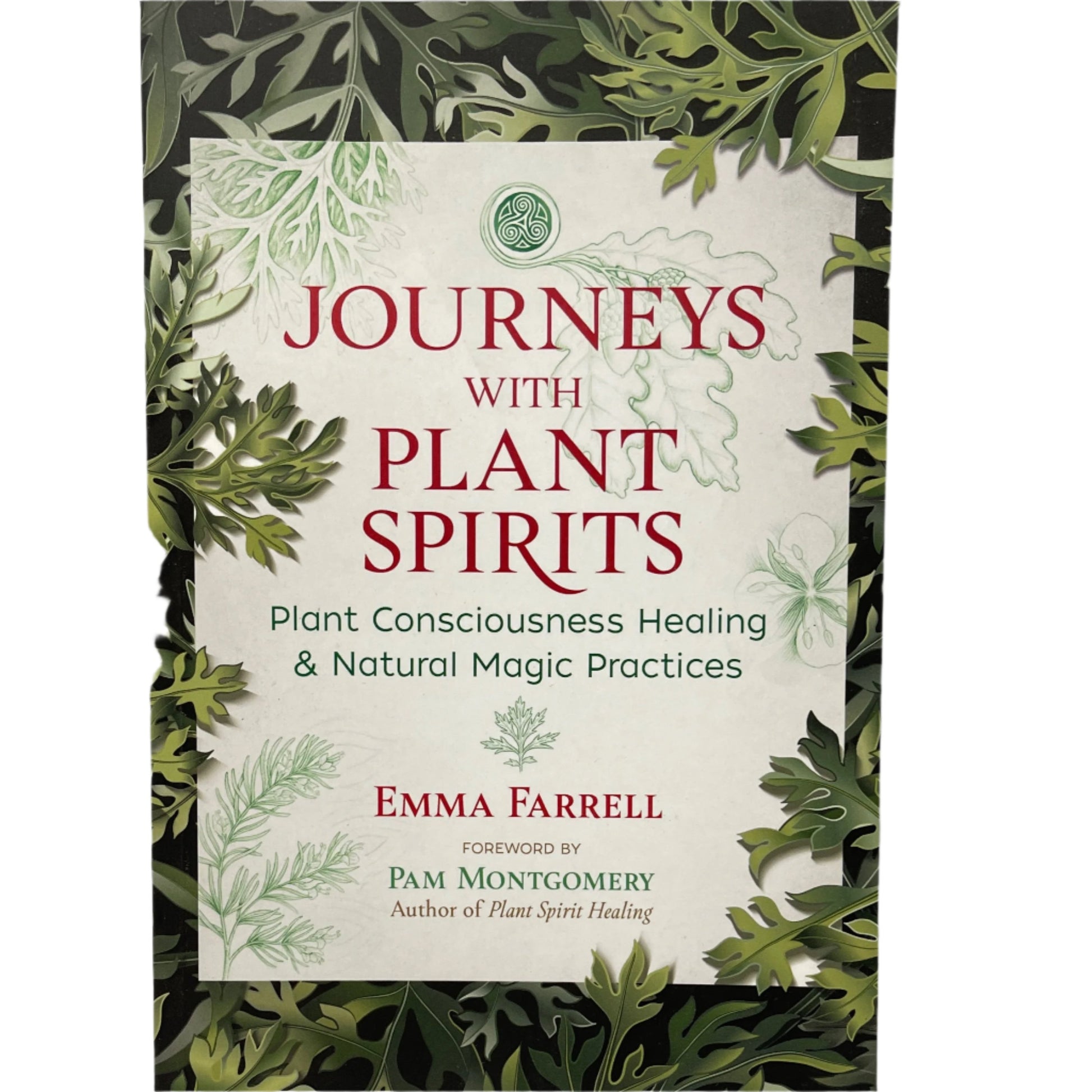 Journeys with Plant Spirits: plant conscious healing and natural magic practices