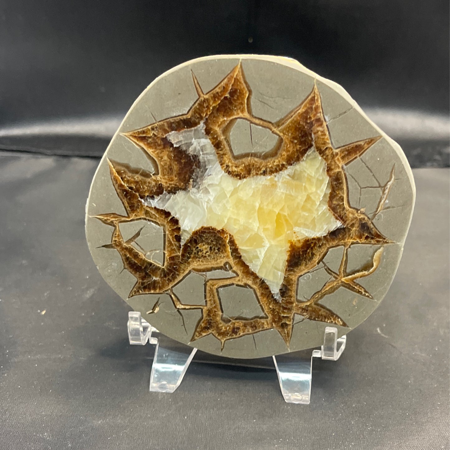 Septarian Slab