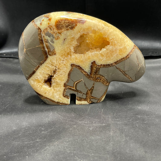 Septarian Bear