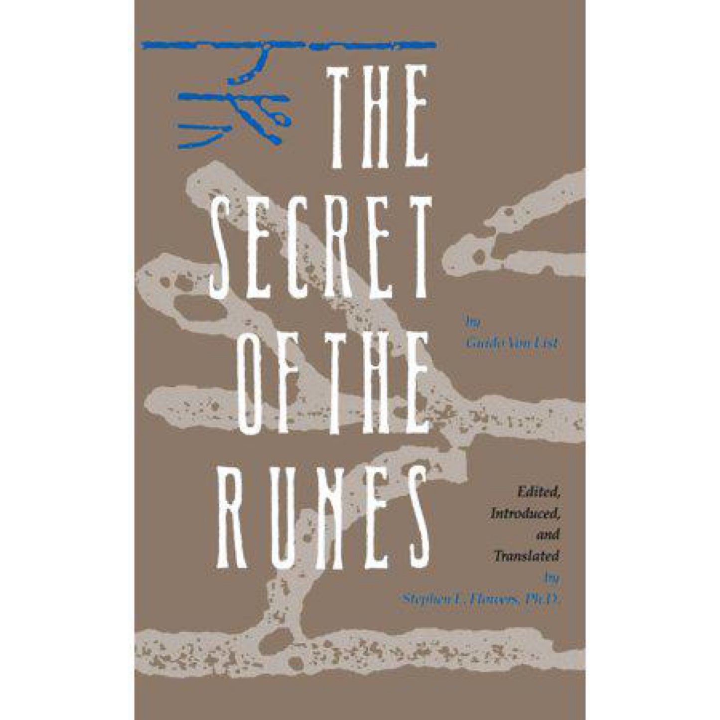 The Secret of the Runes (Paperback)