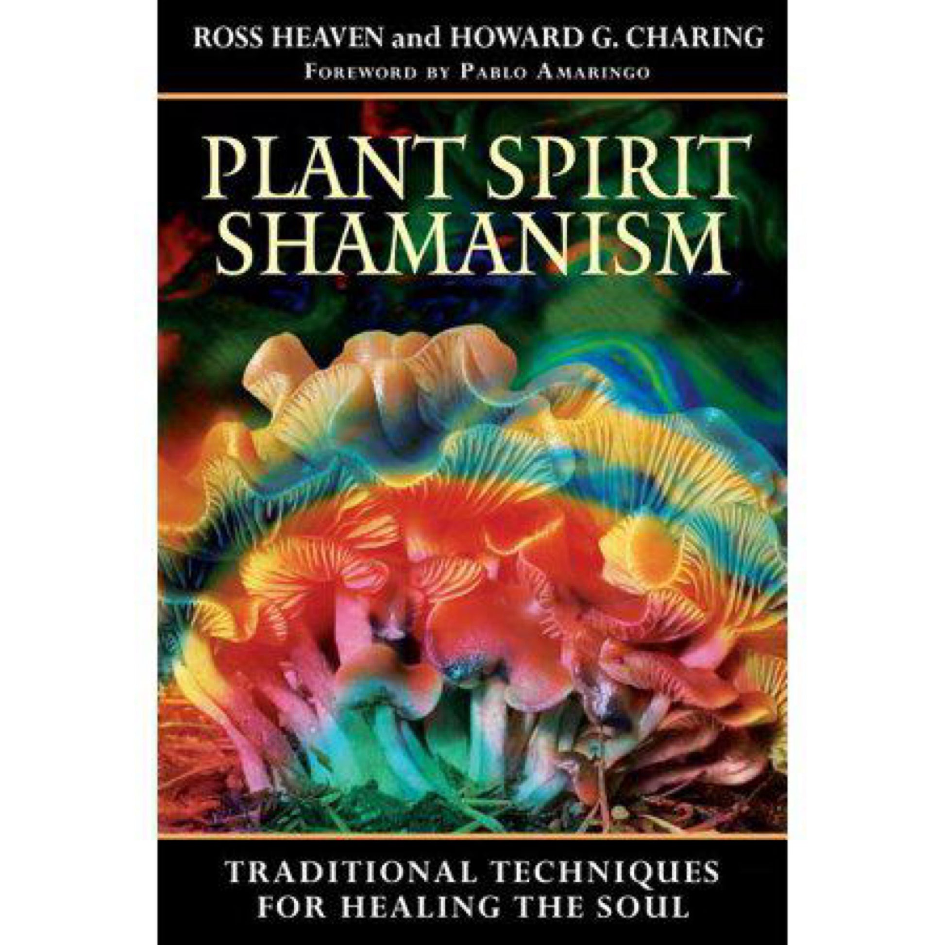 Plant Spirit Shamanism : Traditional Techniques for Healing the Soul (Paperback)