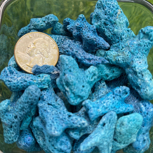 Blue Coral