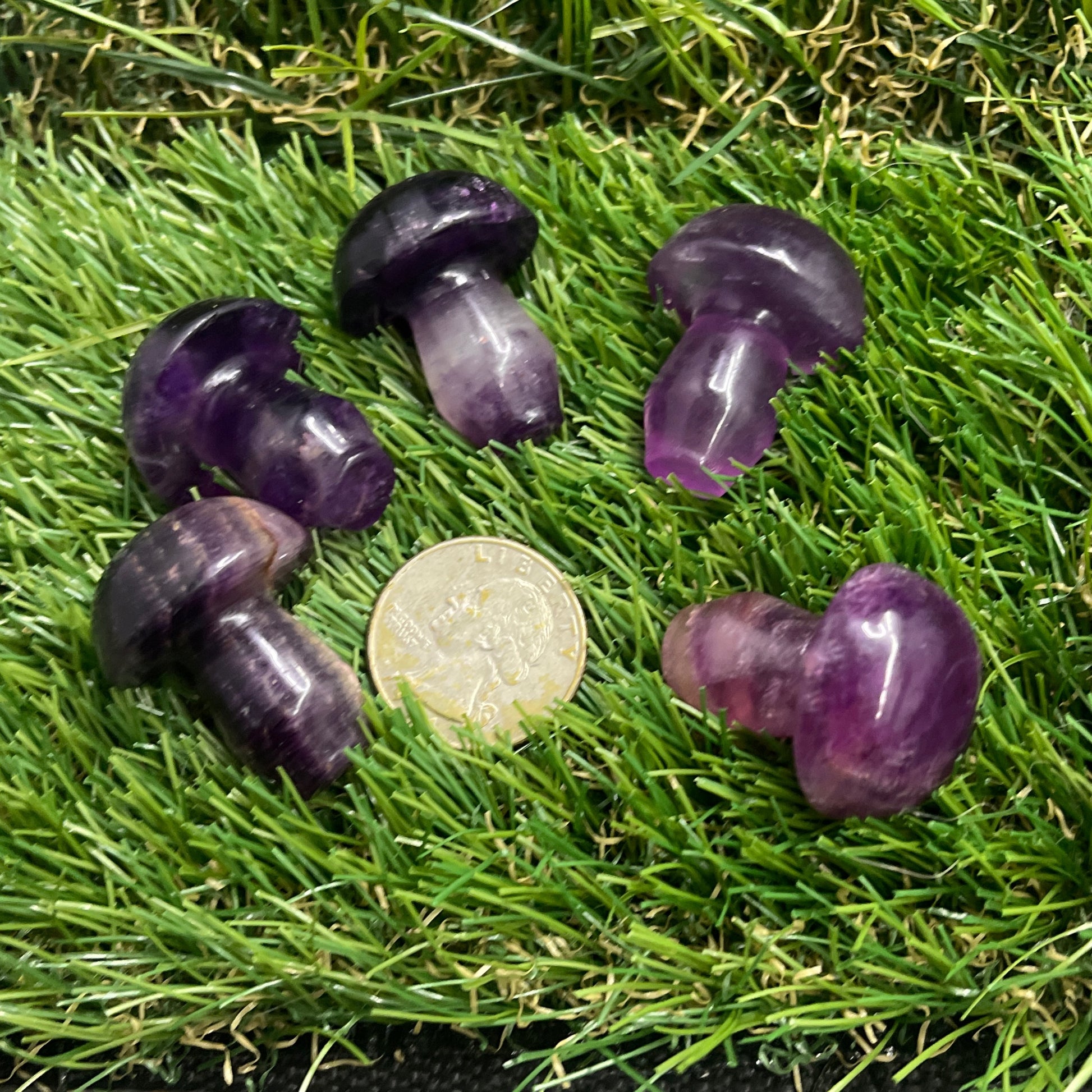 Fluorite Mushroom Med.