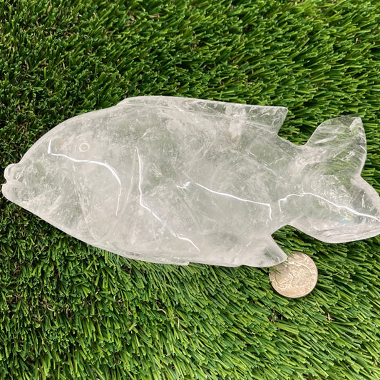 Quartz Fish