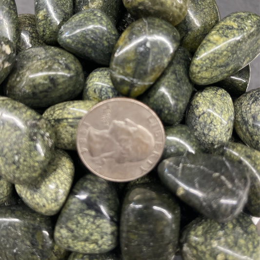 Green Snakeskin Jasper