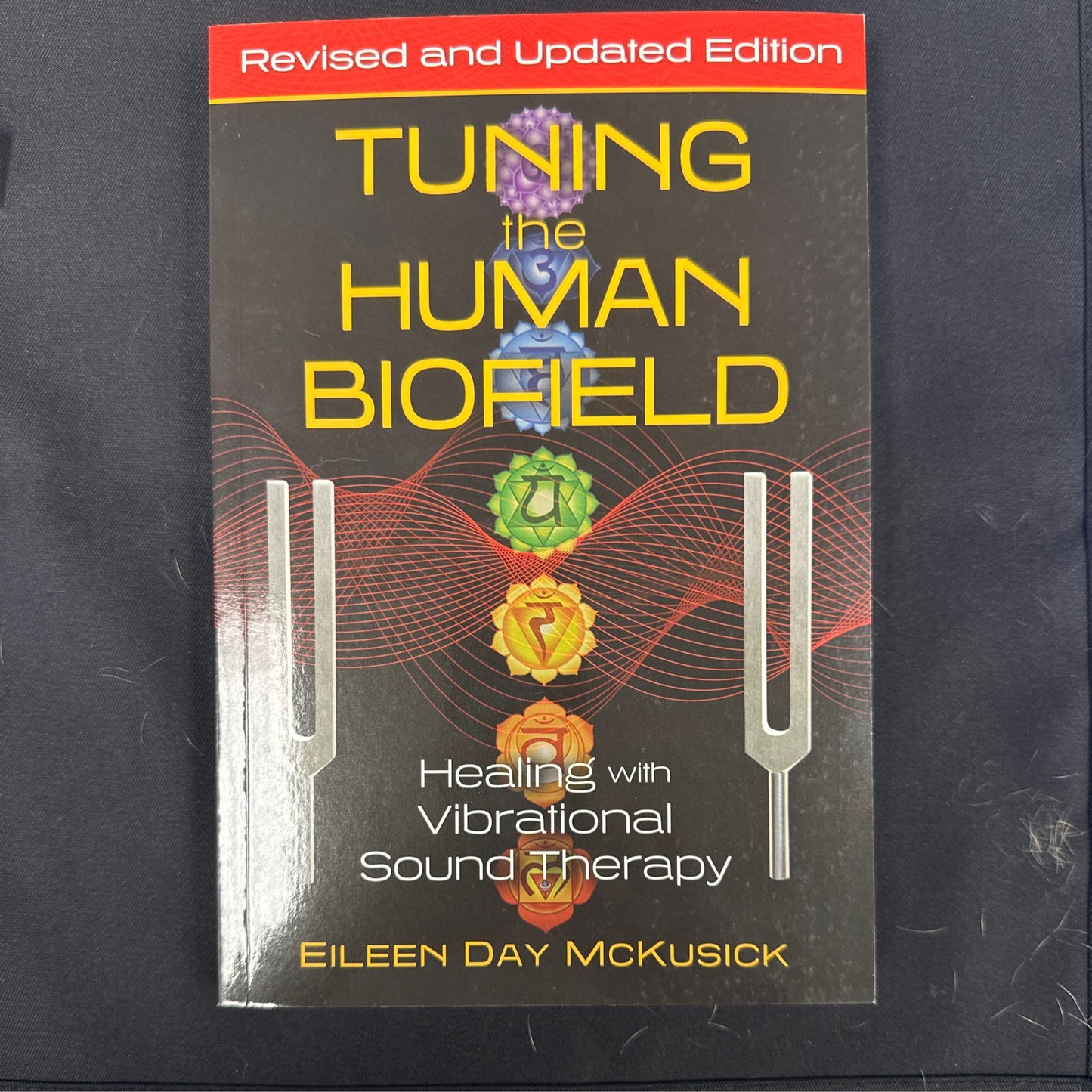 Tuning the human bio field: healing with vibrational and sound therapy