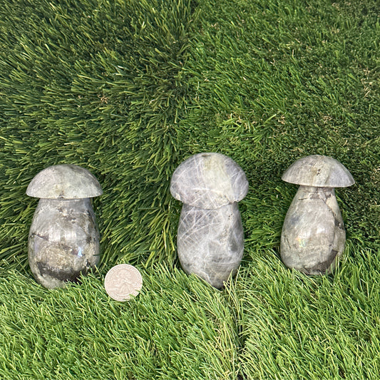 Purple Labradorite Mushroom