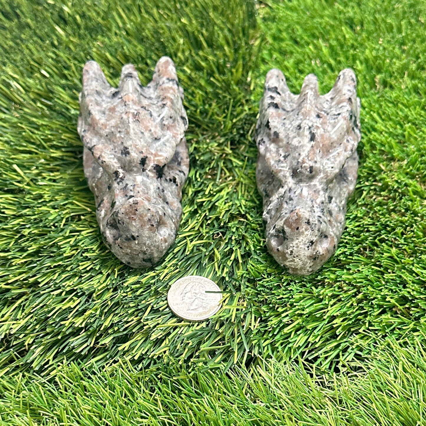 Yooperlite Dragon Skulls