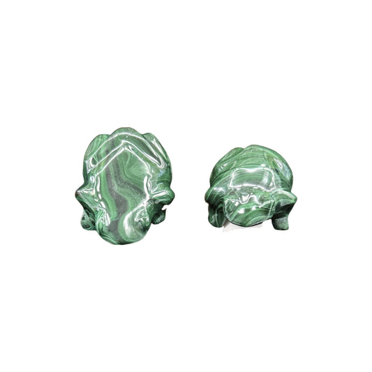 Malachite Frog