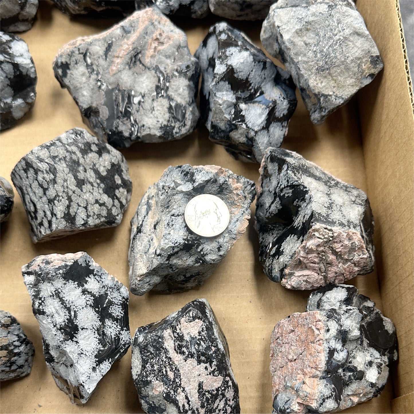 Snowflake Obsidian Chunk