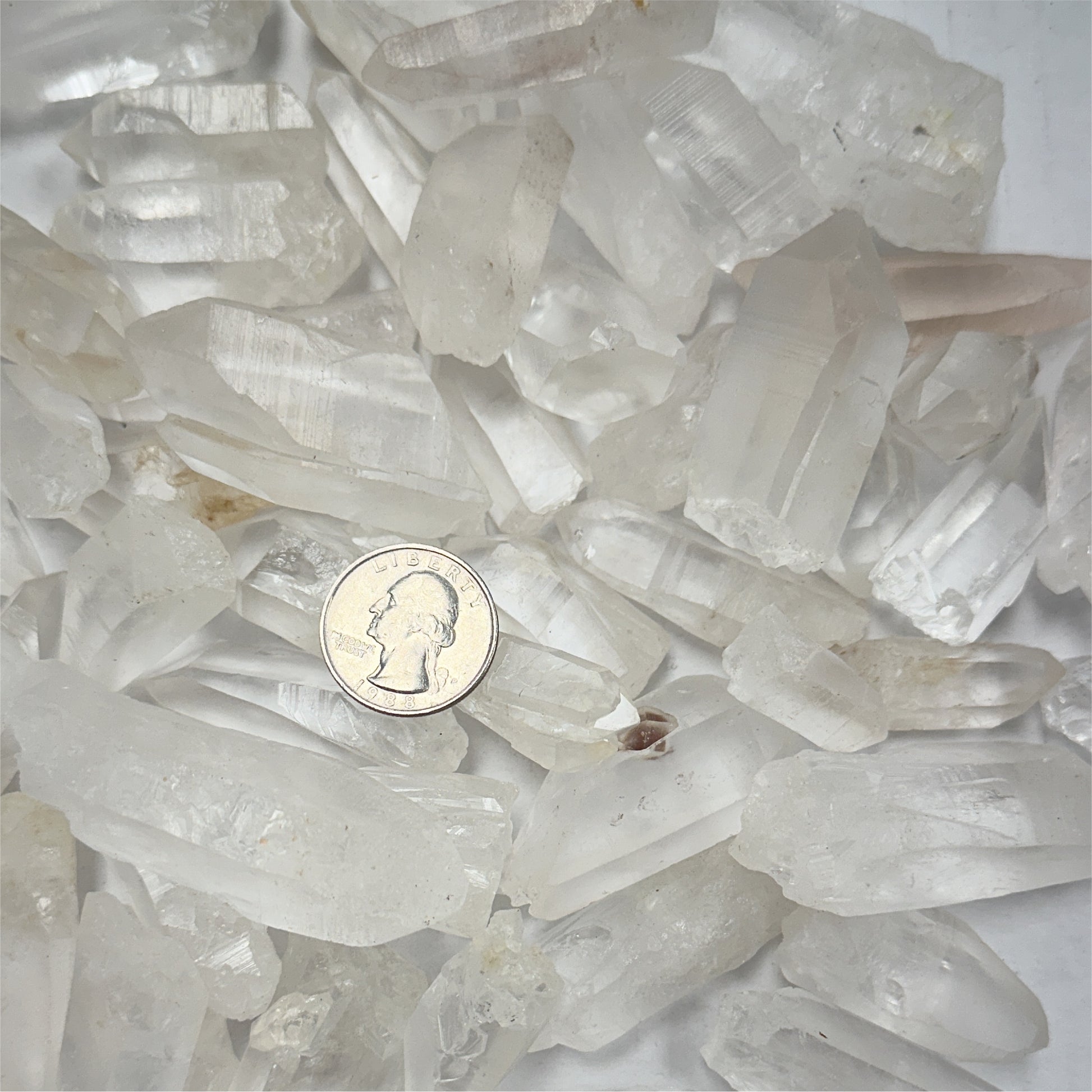 Lemurian Seed Quartz XL