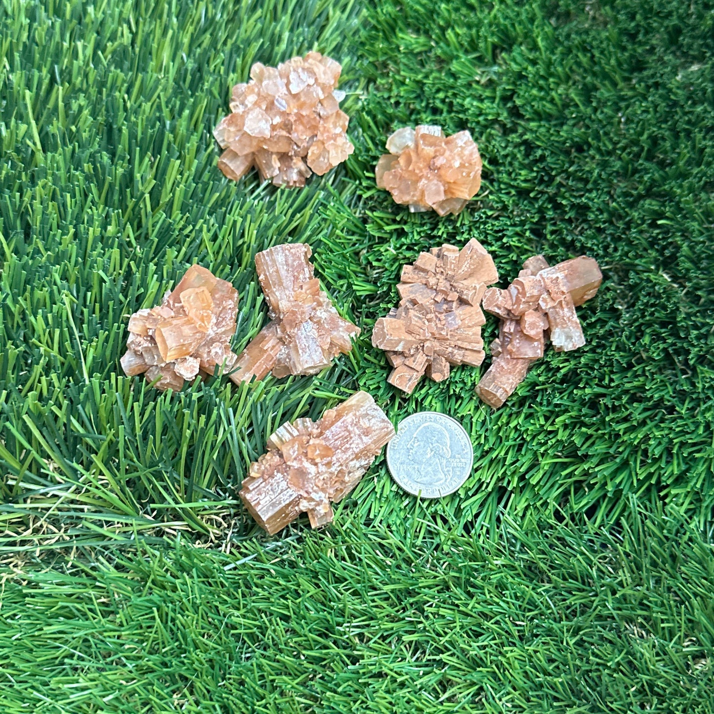 Aragonite Star Clusters